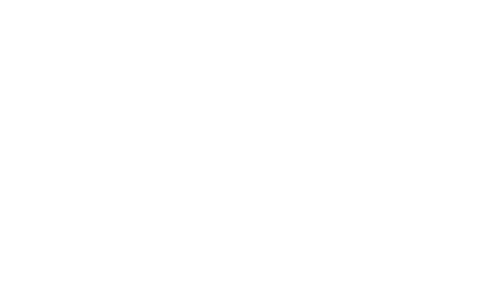Certified Chimney white